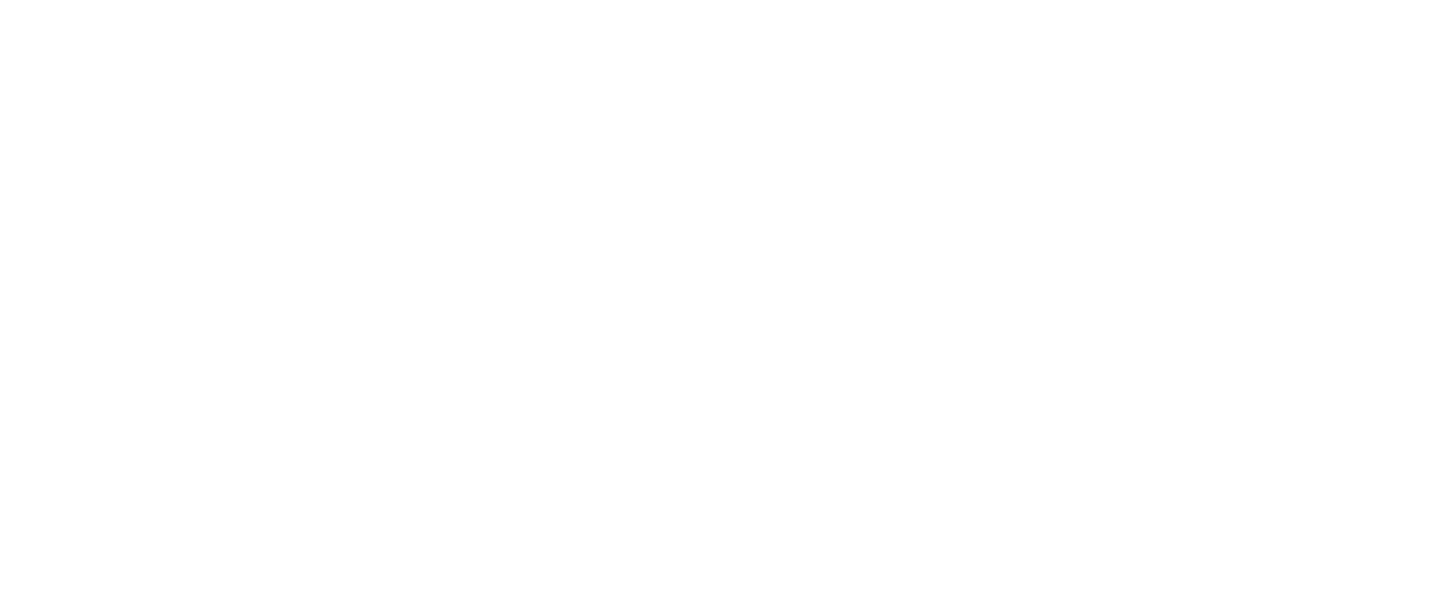 rockenbauer logo white 01